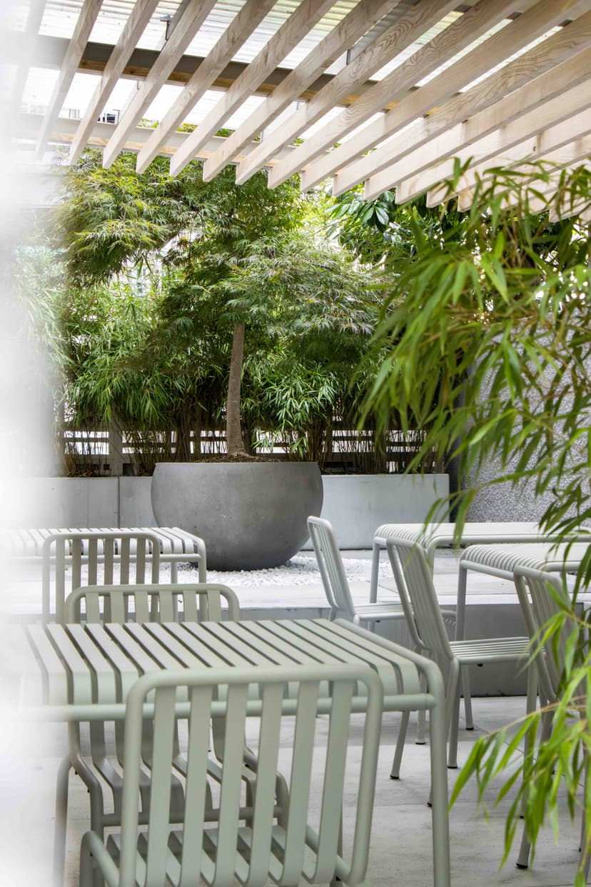 MARU Japanese Comfort Food