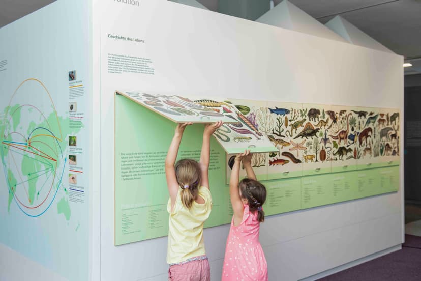 Museum Luzern