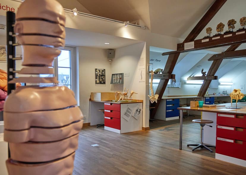 KULTURAMA Museum des Menschen